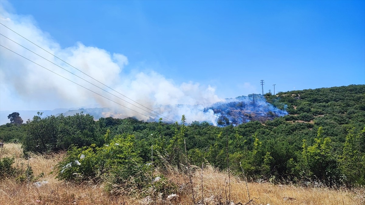 Bursa'nın İnegöl ilçesindeki ormanlık alanda çıkan yangına havadan ve karadan müdahale...