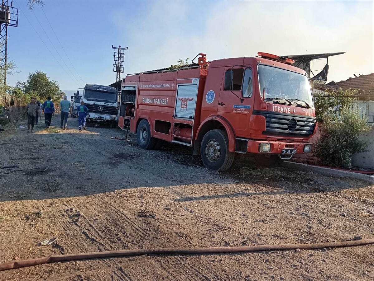 Bursa'nın Mustafakemalpaşa ilçesinde faaliyet gösteren et üretim çiftliğinde çıkan yangın, itfaiye...