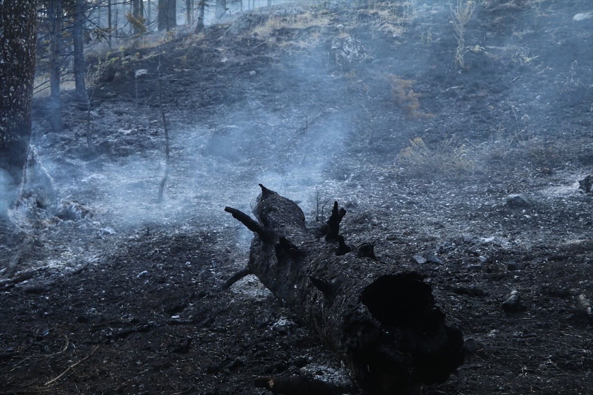 Çankırı'nın Yapraklı ilçesinde ormanlık alanda çıkan yangına müdahale ediliyor.