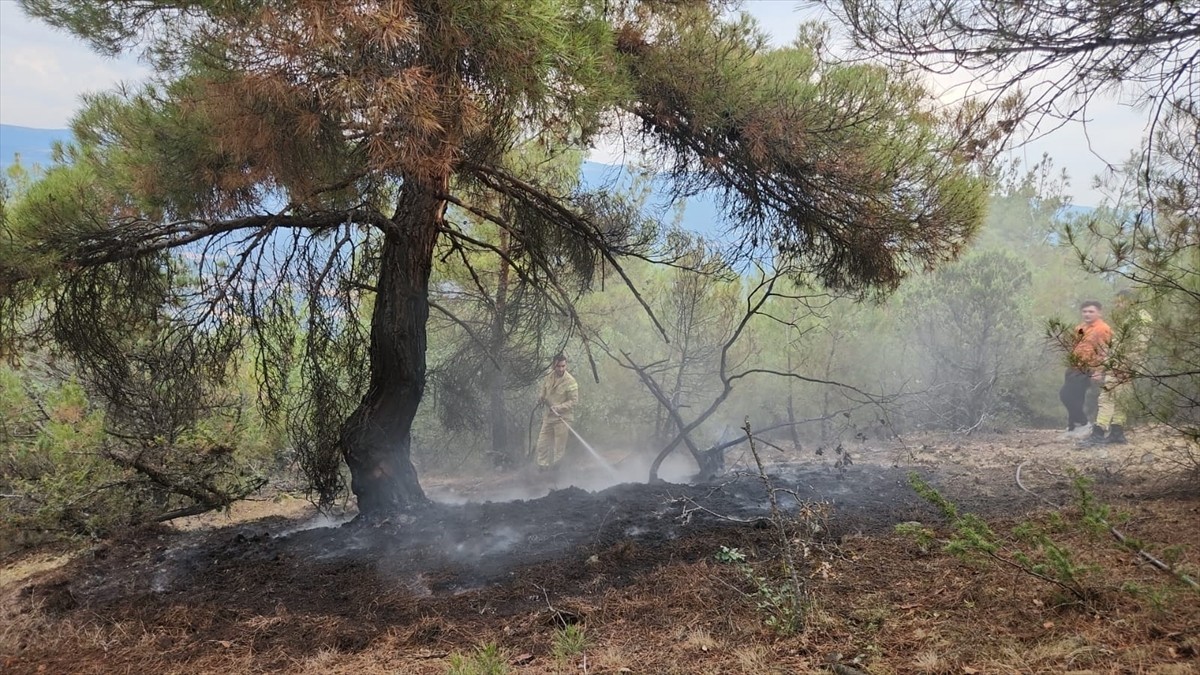 Çorum'un Kargı ilçesinde yıldırım düşmesi sonucu ormanlık alanda 2 ayrı noktada çıkan yangın...