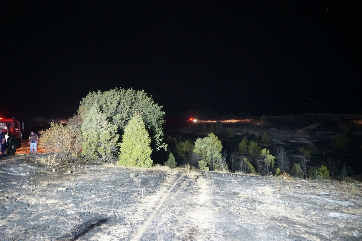 Çorum'un Osmancık ilçesinde tarlada çıkan ve ormanlık alana sıçrayan yangın söndürüldü.