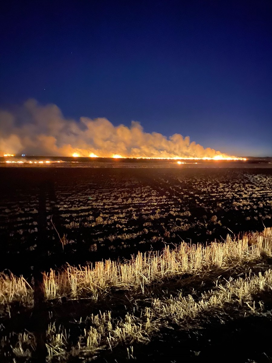 Diyarbakır'ın Eğil ilçesinde kırsal Oyalı Mahallesi'nde tarımsal alanda anız yakılması nedeniyle...