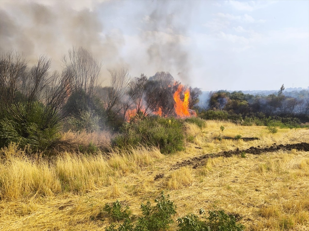  Diyarbakır'ın Lice ilçesi kırsalında ormanlık alanda çıkan yangın ekiplerin müdahalesiyle...