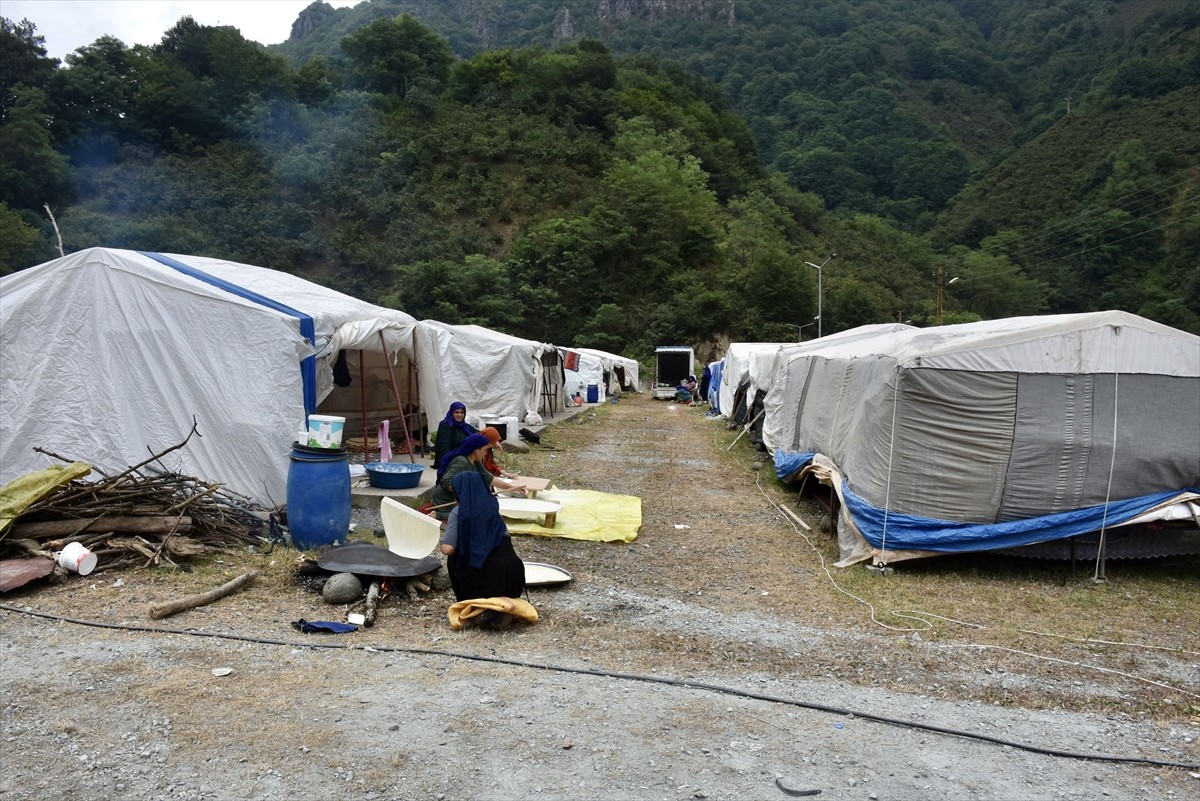 Doğu ve Güneydoğu Anadolu'dan fındık toplamak üzere Ordu'ya gelen mevsimlik tarım işçileri...