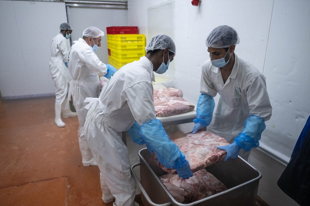 Dünyanın birçok ülkesinden Deniz Feneri Derneğine bağışlanan kurbanlıklar, Birleşik Arap...