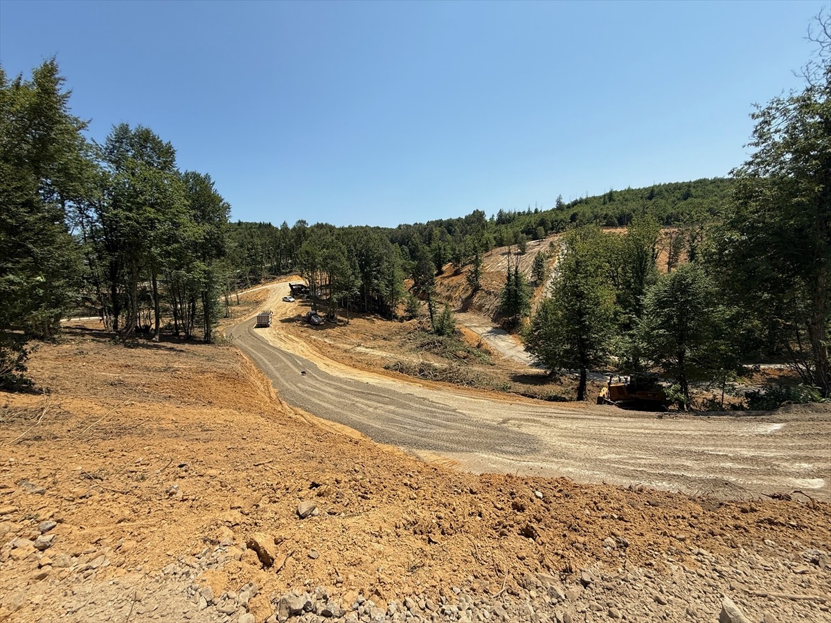 Düzce'de 6 yıl önce faaliyete geçen ve sahipsiz hayvanların tedavi ve rehabilitasyonunun...