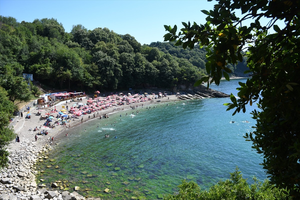 Düzce'nin turizm ilçesi Akçakoca'da sıcak havadan bunalanlar sahillerde yoğunluk oluşturdu. Hafta...