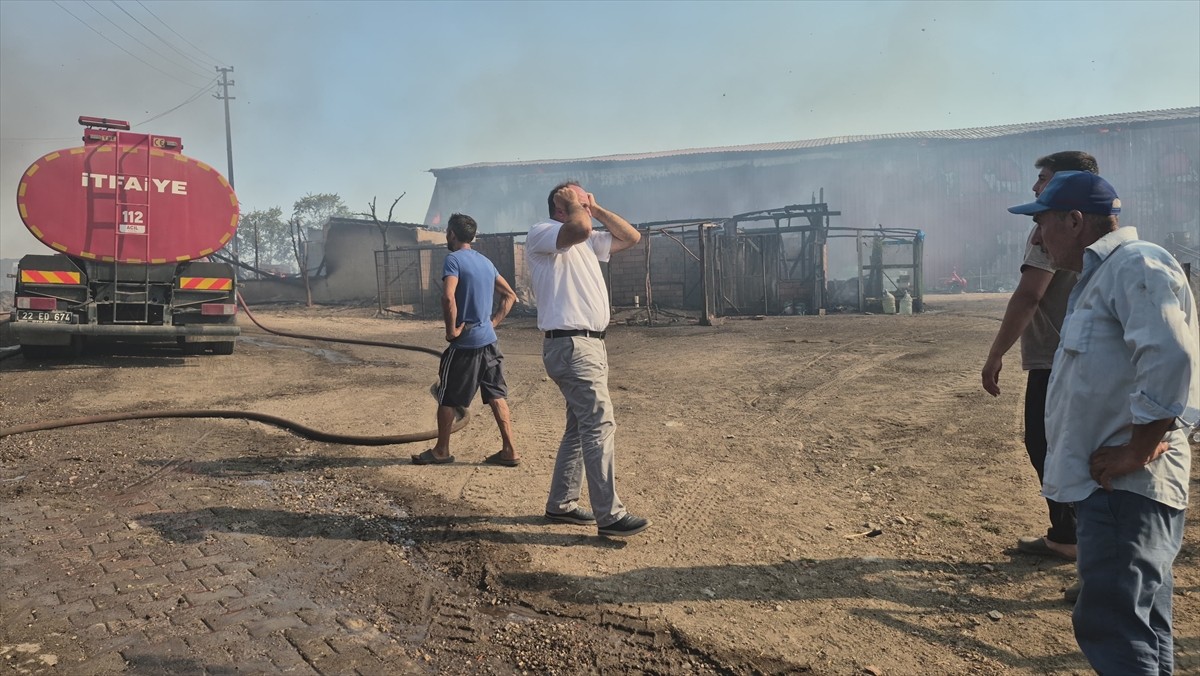 Edirne'de bir köyde ahırda başlayıp ev ve saman deposuna sıçrayan yangında 80 küçükbaş hayvan...
