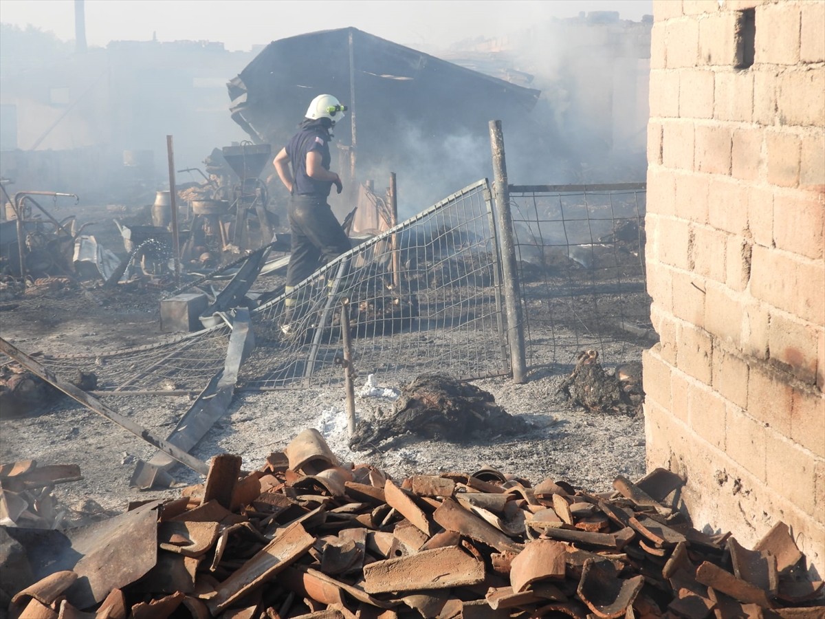 Edirne'de bir köyde ahırda başlayıp ev ve saman deposuna sıçrayan yangında 80 küçükbaş hayvan...