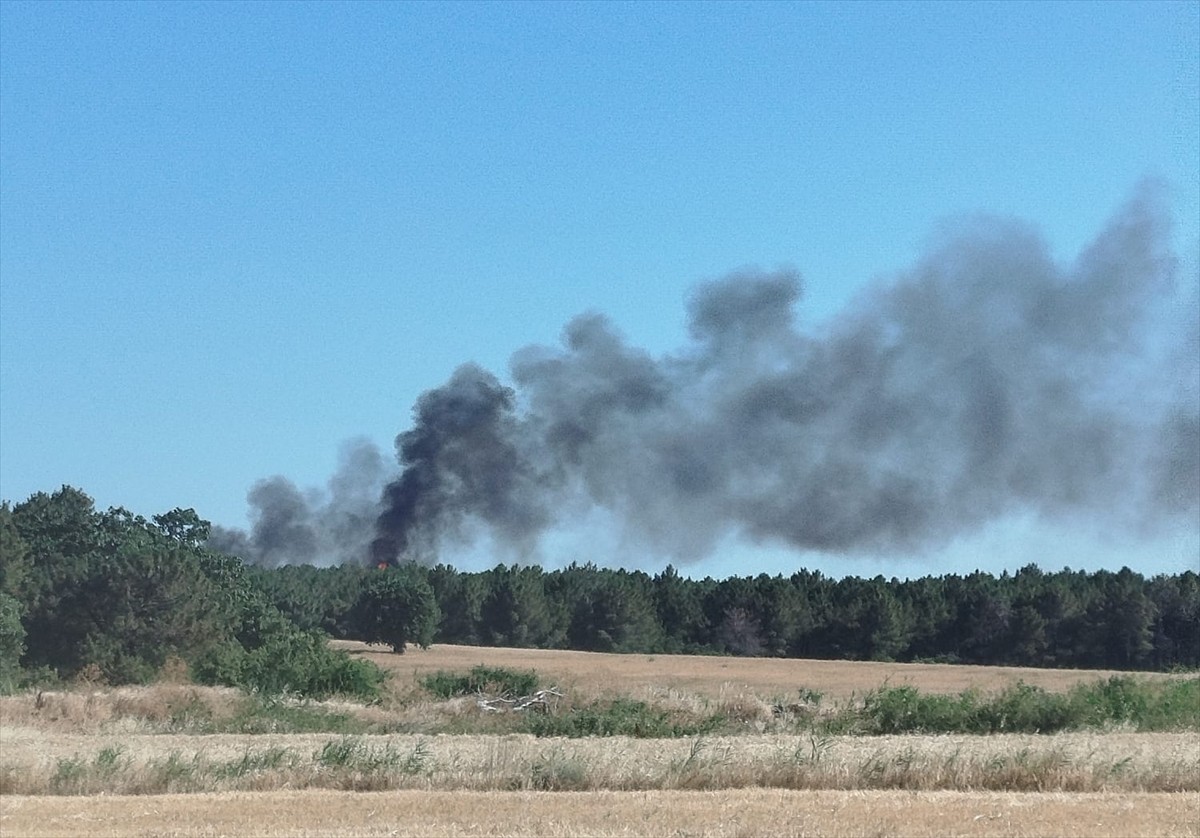 Edirne'nin Enez ilçesinde ormanlık alanda çıkan yangın, ekiplerin havadan ve karadan müdahalesiyle...
