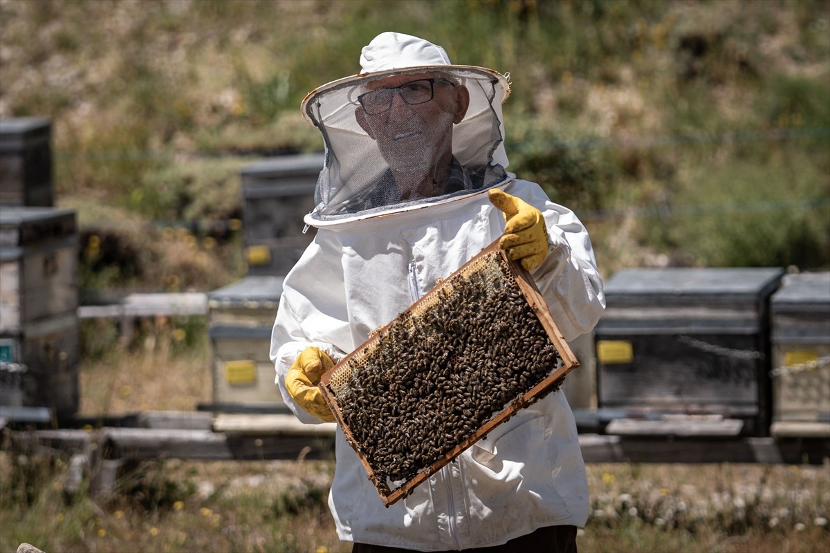 Erzurum yaylalarında bal üreten 79 yaşındaki Mehmet Kansız, akciğer kanserini yendikten sonra...