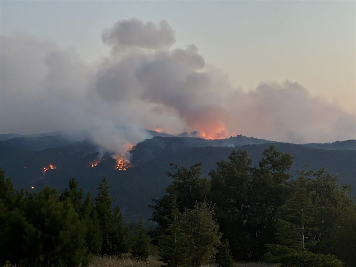 Eskişehir'in Seyitgazi ilçesinde çıkan orman yangınına havadan ve karadan müdahale ediliyor.