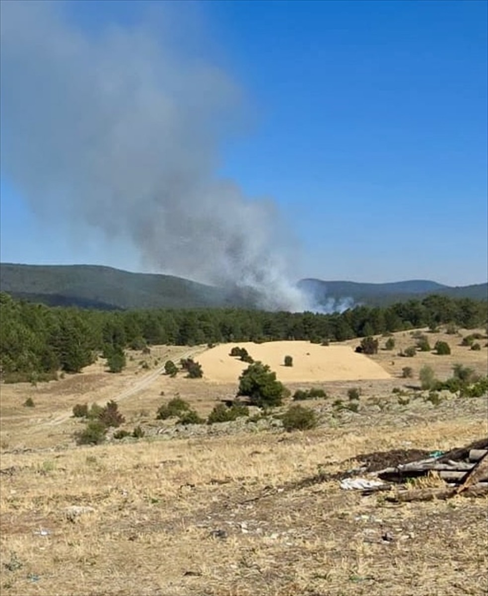 Eskişehir'in Seyitgazi ilçesinde çıkan orman yangınına havadan ve karadan müdahale ediliyor.