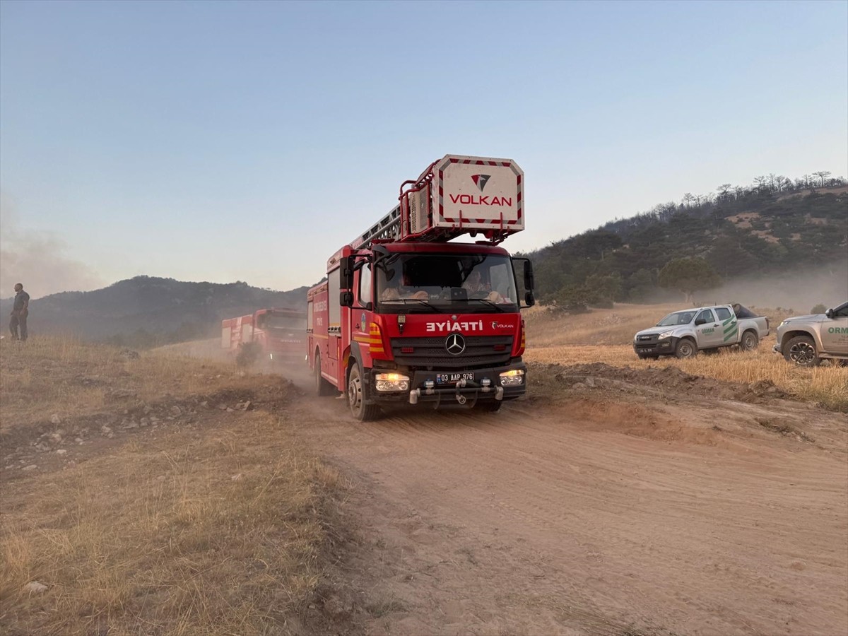  Eskişehir'in Seyitgazi ilçesinde çıkan ve Afyonkarahisar'a sıçrayan orman yangına müdahale...