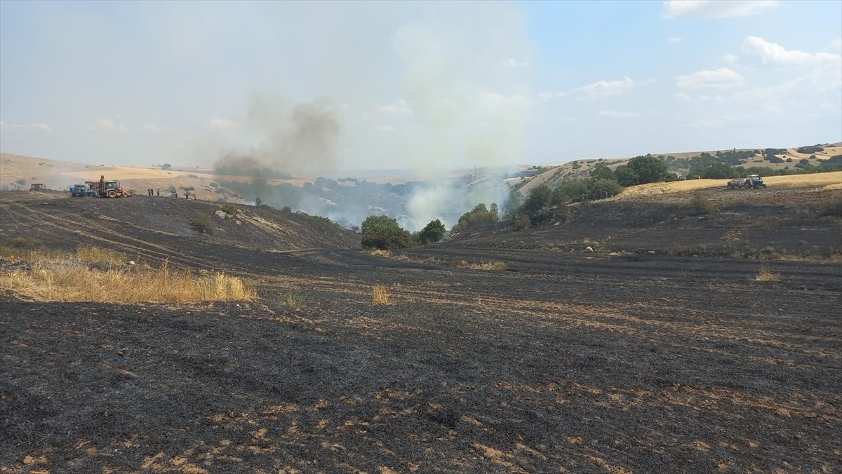 Eskişehir'in Tepebaşı ilçesinde tarım arazisinde çıkıp, ormanlık alana sıçrayan yangın kontrol...
