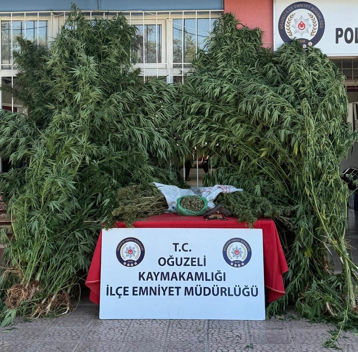 Gaziantep'in Oğuzeli ilçesinde düzenlenen uyuşturucu operasyonunda 3 şüpheli gözaltına alındı....