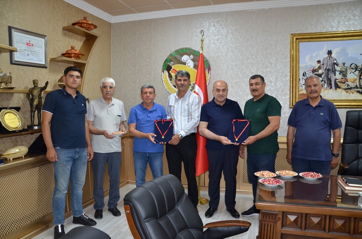 Gaziantep’in Nizip ilçesinde yetiştirilen sezonun ilk kırmızı kabuklu Antep fıstığı mahsulü, Nizip...