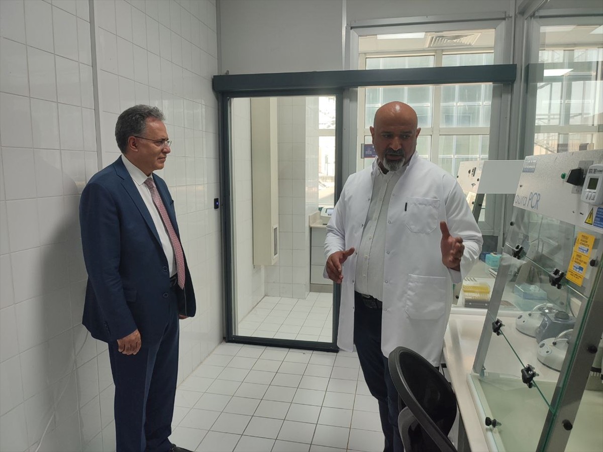 İnönü Üniversitesi Turgut Özal Tıp Merkezi Patoloji Anabilim Dalı bünyesinde oluşturulan moleküler...