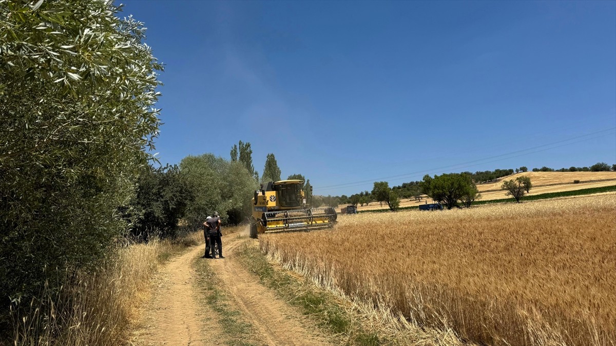 Isparta'nın birçok ilçesinde yaygın olan hububat üretiminin hasat sezonu başladı.