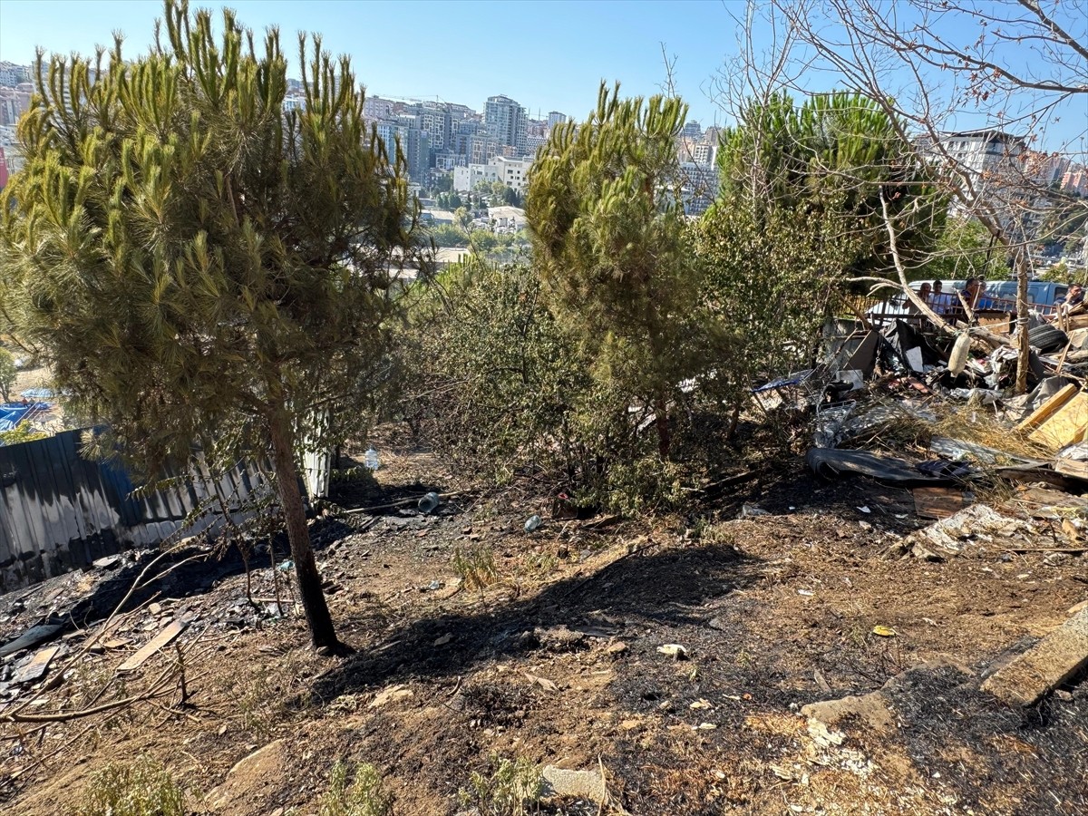 İstanbul Kağıthane'de, ağaçlık alanda çıkan yangın itfaiye ekiplerinin müdahalesiyle...