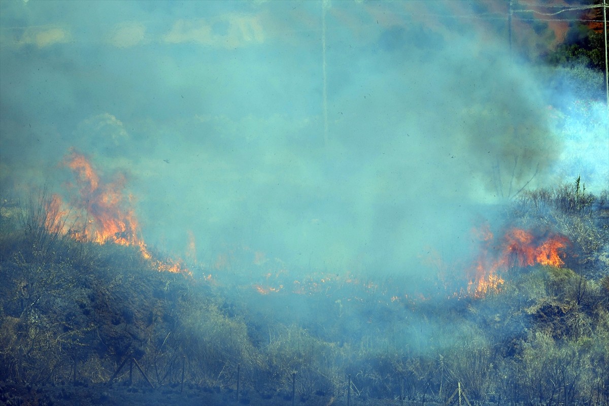 İtalya'nın Sicilya Adası'nın batısındaki orman ve makilik alanda çıkan yangının bazı noktalarda...