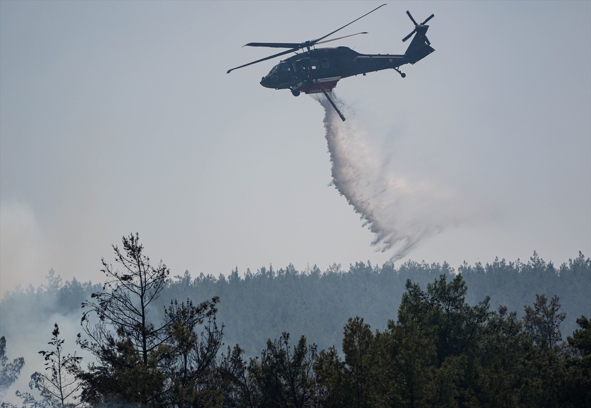 İzmir'in Bornova ilçesindeki Gökdere Mahallesi'nde çıkan orman yangınına havadan ve karadan...