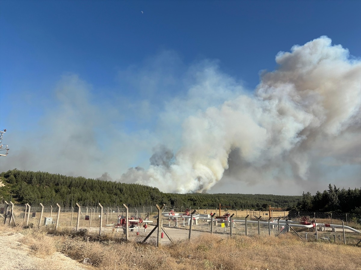 İzmir'in Buca ilçesinde ormanlık alanda çıkan yangına müdahale ediliyor. İhbar üzerine bölgeye...
