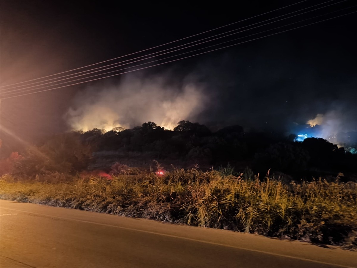 İzmir'in Dikili ilçesinde çöplükte çıkan ve makilik alana sıçrayan yangına müdahale...