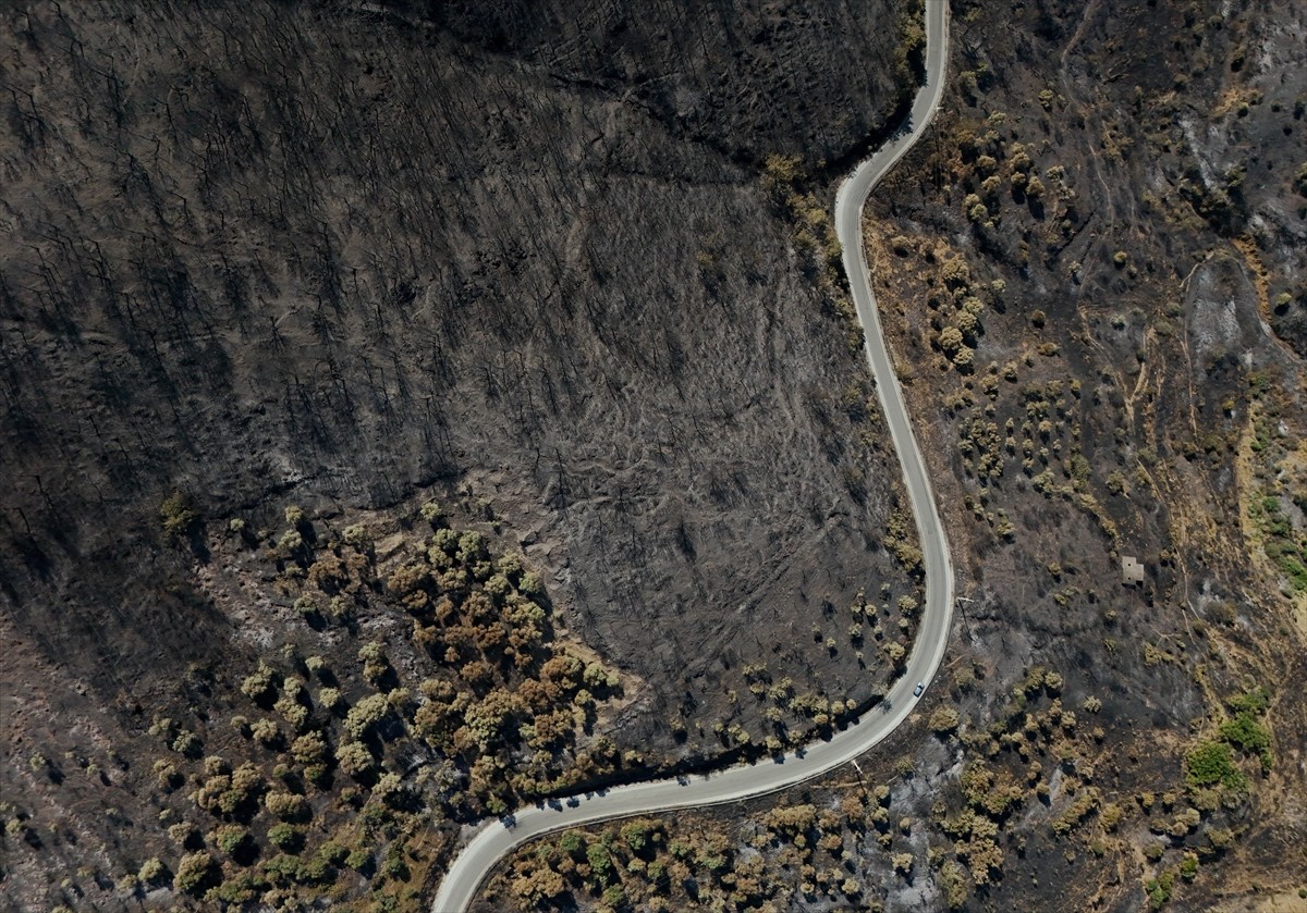 İzmir'in Ödemiş ilçesinde, rüzgarın etkisiyle geniş alana yayılan ancak ekiplerin yoğun...