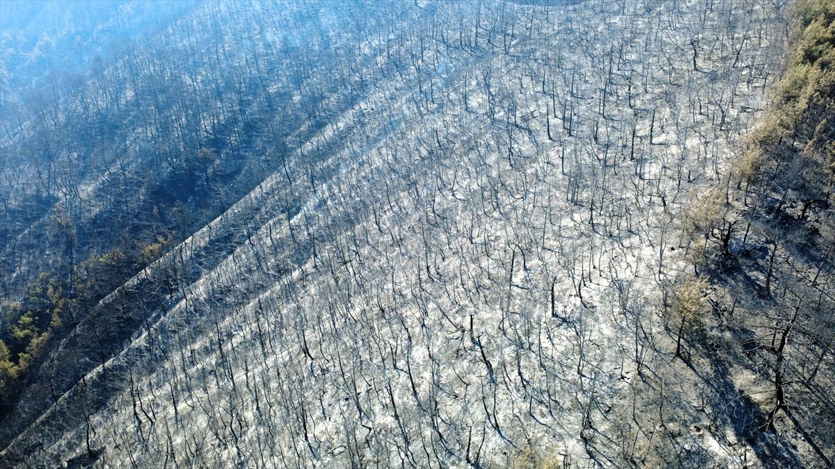 Karabük'te ormanlık alanda çıkan yangın kontrol altına alındı.