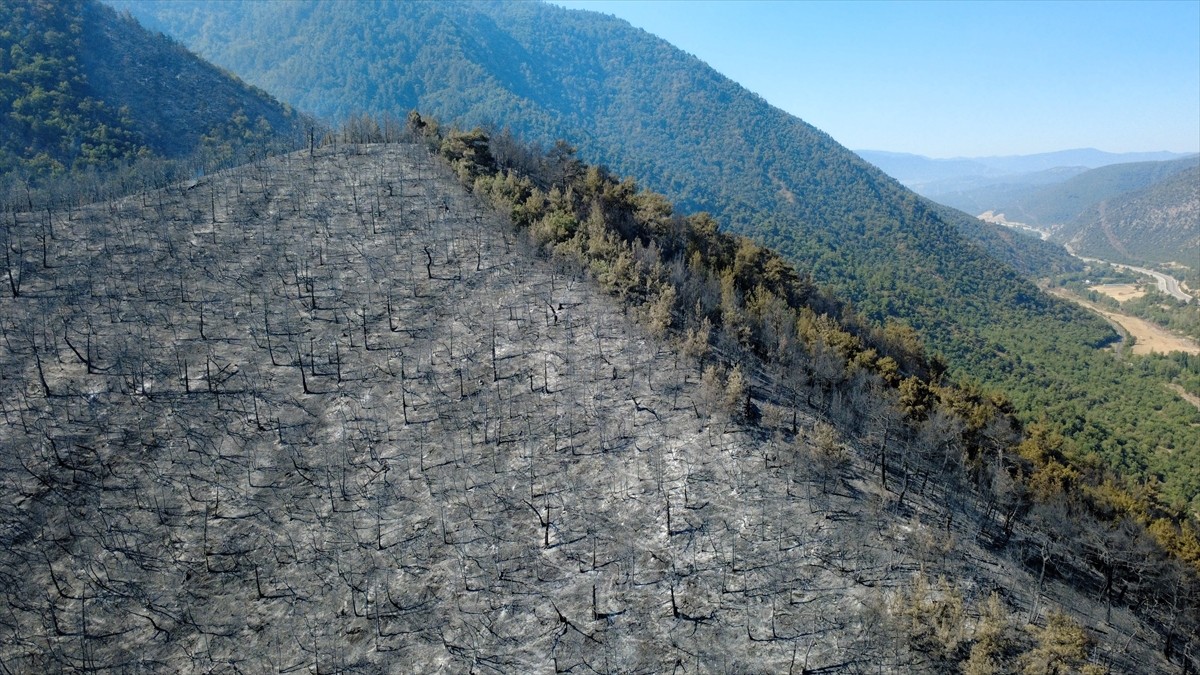 Karabük'te ormanlık alanda çıkan yangın kontrol altına alındı.
