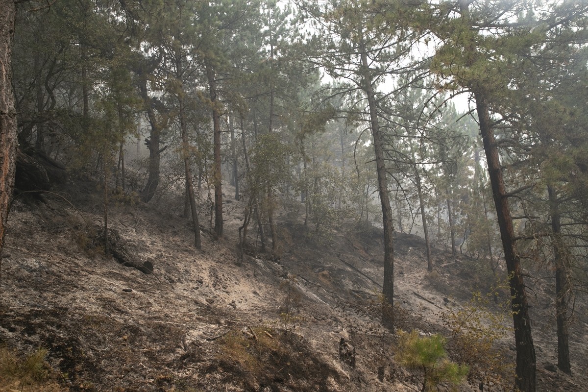 Karabük'ün Safranbolu ve Ovacık ilçelerinde ormanlık alanda çıkan yangınlar, ikinci gününde...