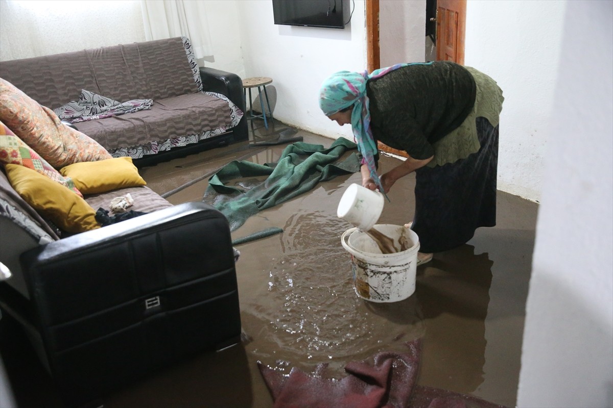 Kars'ta etkili olan dolu ve şiddetli sağanak nedeniyle meydana gelen selde hayvanlar telef oldu...