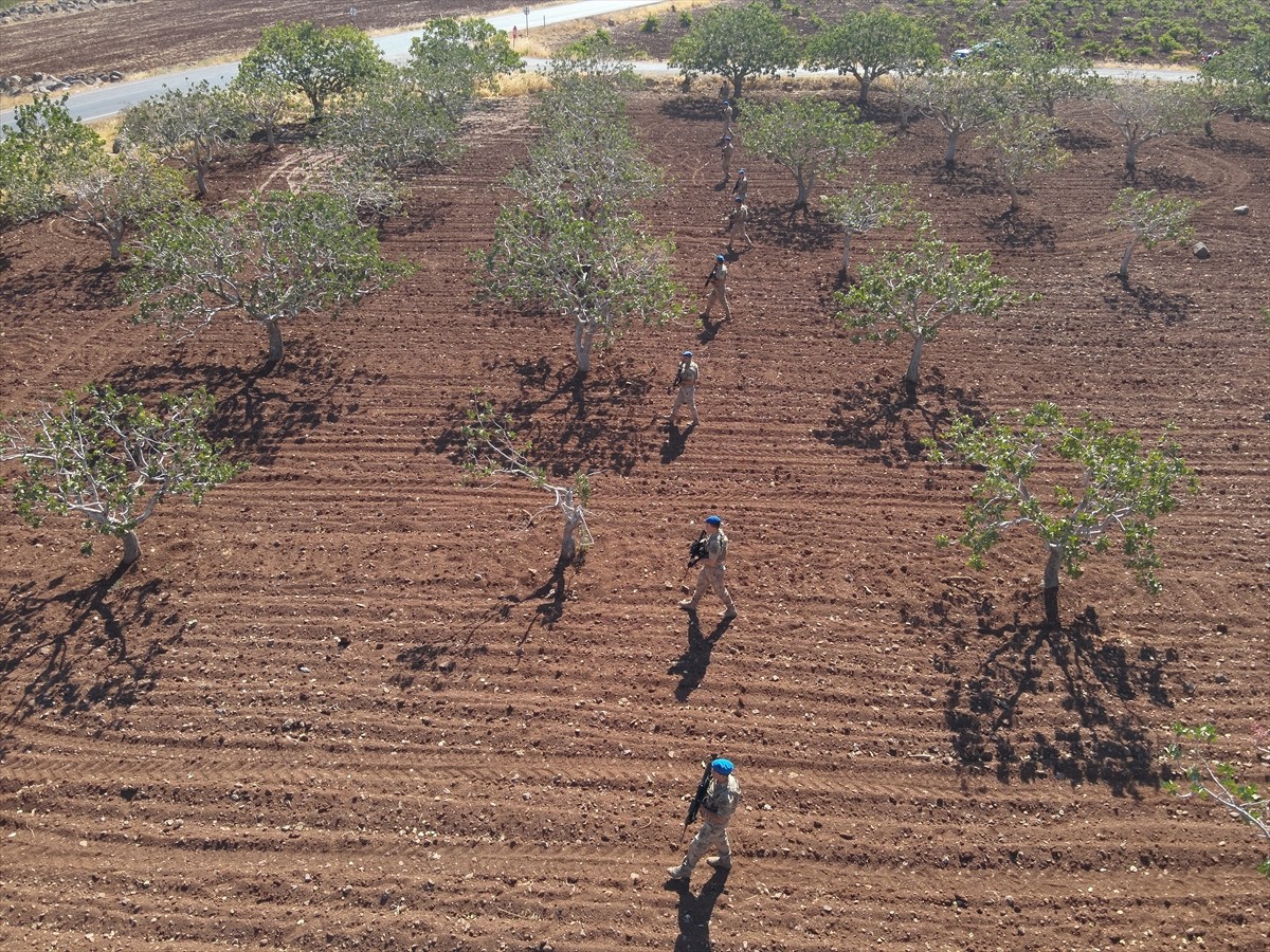 Kilis'te jandarma ekipleri, hasat zamanı yaklaşan Antep fıstığında hırsızlık olaylarının...