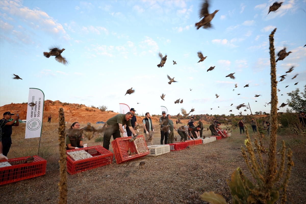 Kırklareli'nde yaban hayatının korunması ve doğal dengeyi desteklemek amacıyla doğaya 600 çil...