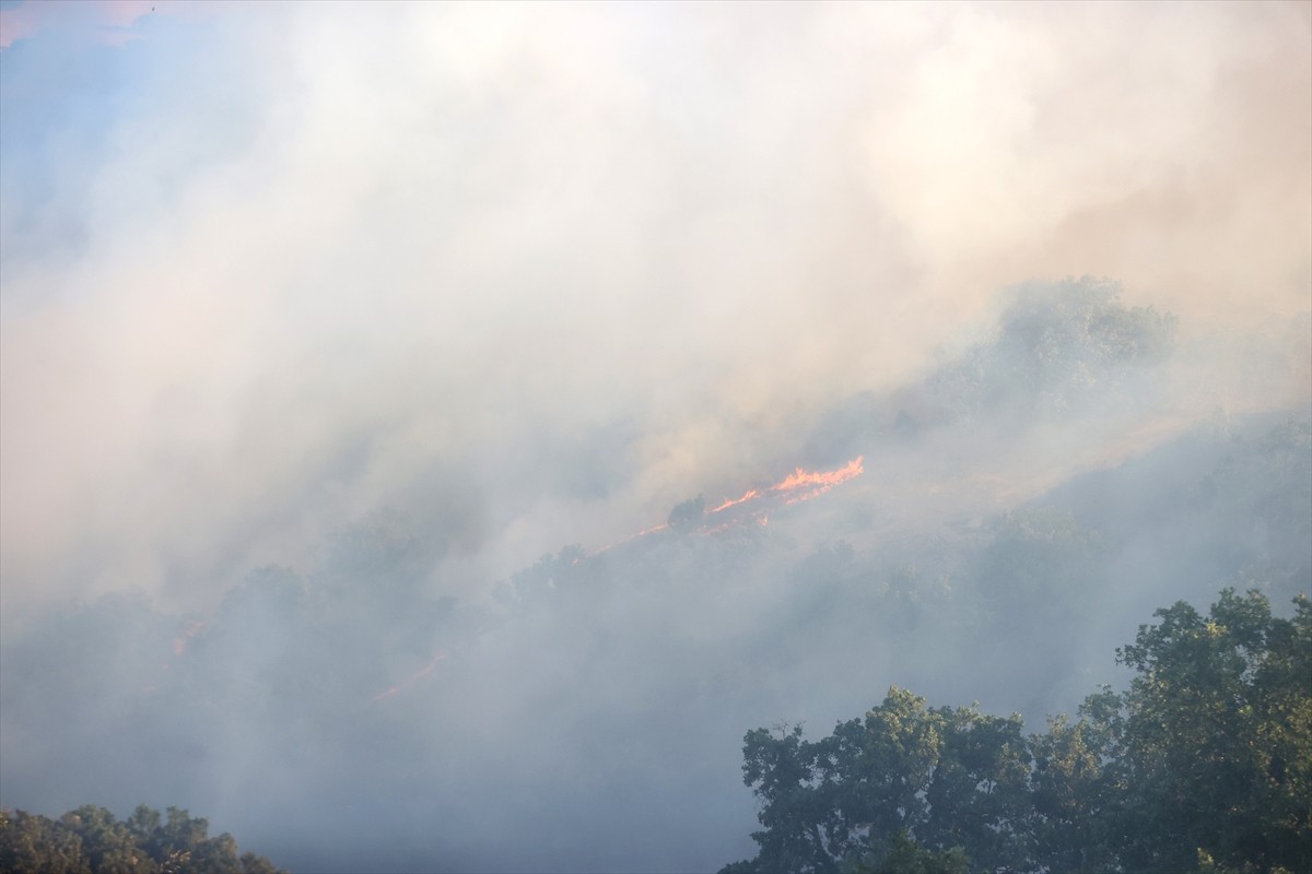 Kırklareli'nin Kofçaz ilçesindeki orman yangınına havadan ve karadan müdahale ediliyor.