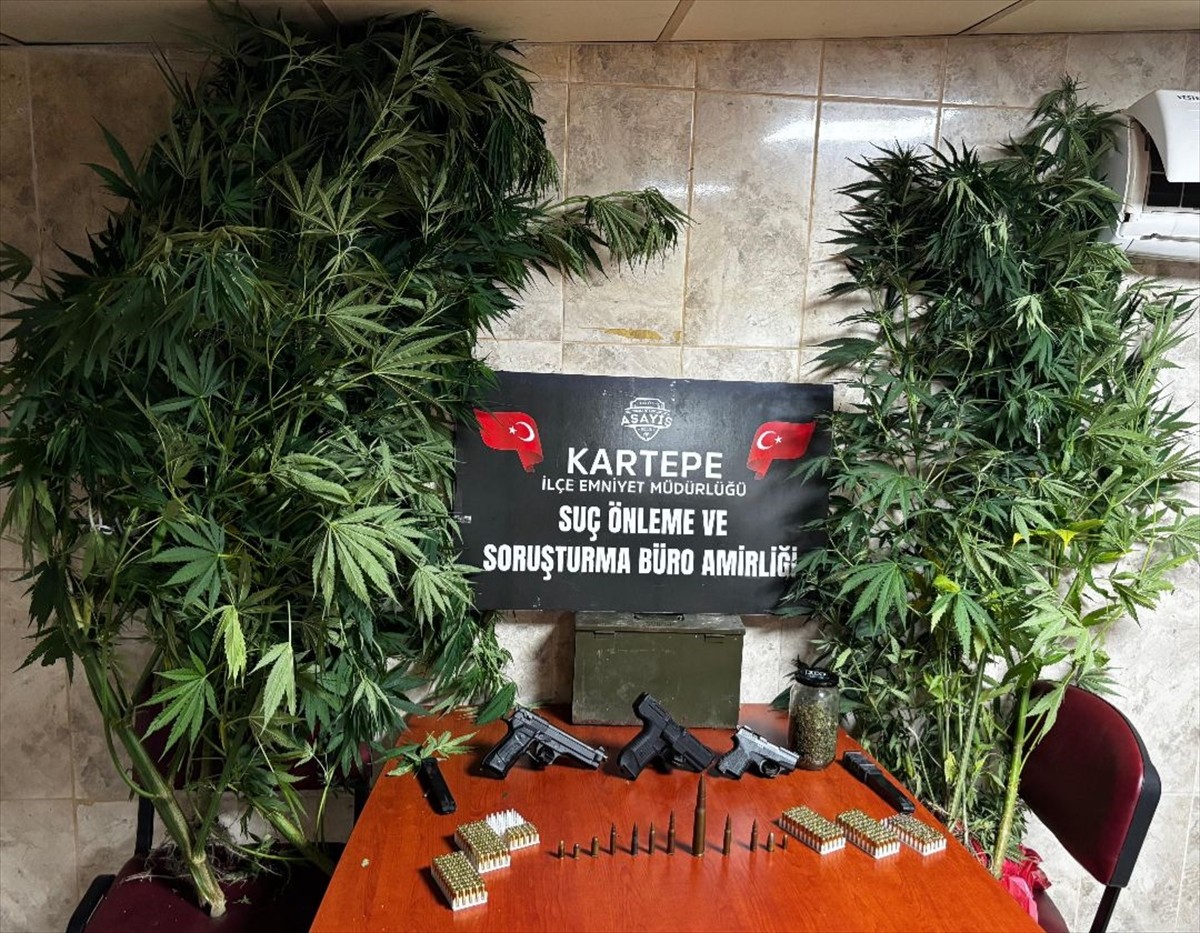 Kocaeli'nin Kartepe ilçesinde düzenlenen uyuşturucu operasyonunda 30 kök Hint keneviri, 511 gram...
