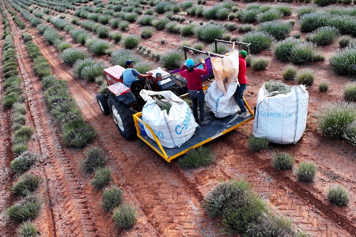 Konya Büyükşehir Belediyesi ve Konya Ovası Projesi (KOP) Bölge Kalkınma İdaresi Başkanlığının...