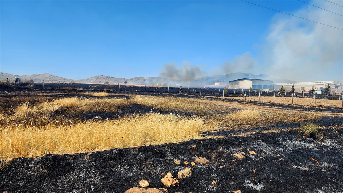Kütahya'nın Altıntaş ilçesinde yangın çıkan yaklaşık 800 dekar hububat ekili alan zarar...