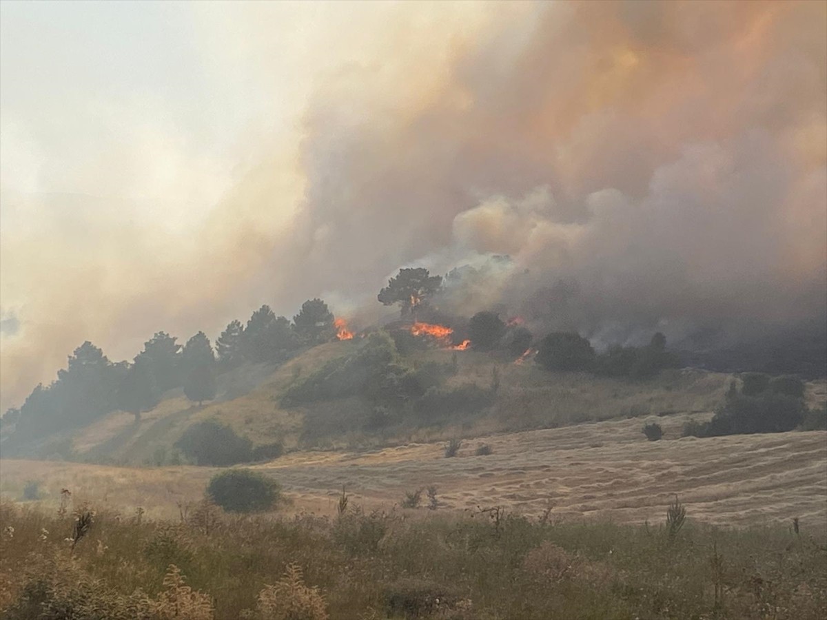 Kütahya'nın Dumlupınar ilçesinde çıkan orman yangınına, havadan ve karadan müdahale...