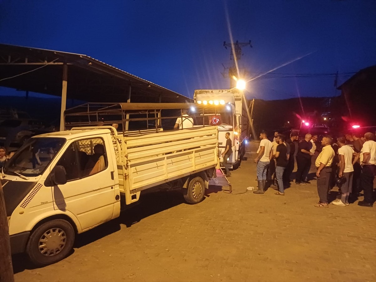 Manisa'nın Akhisar, Ahmetli ve Kula ilçelerinde süren orman yangınlarına günün aydınlanmasıyla...