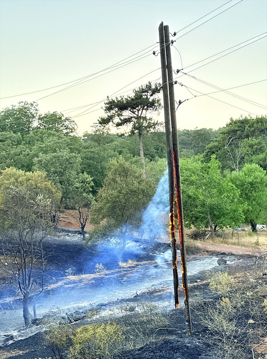 Manisa'nın Akhisar ilçesinde çıkan orman yangınına, müdahale ediliyor. Kocakağan Mahallesi'nin...