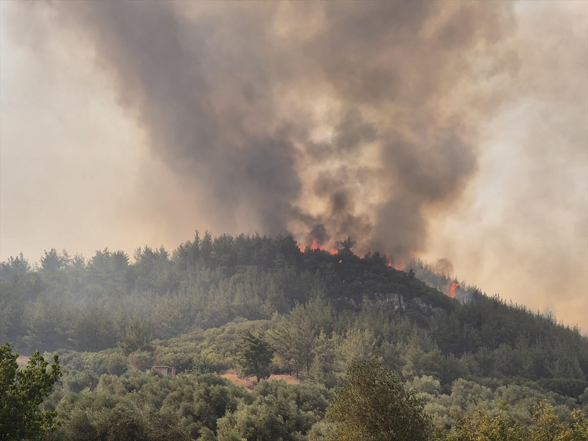 Manisa'nın Saruhanlı ilçesinde iki ayrı bölgede çıkan orman yangınından biri kontrol altına...