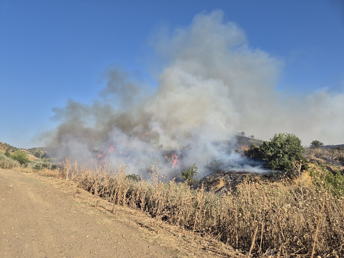 Manisa'nın Turgutlu ilçesinde makilik alandaki yangına havadan ve karadan müdahale ediliyor.