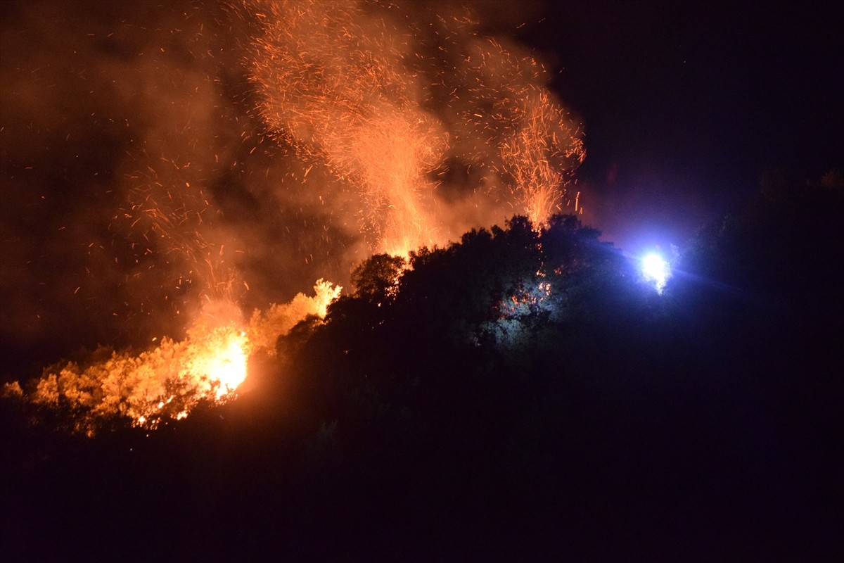 Manisa'nın Turgutlu ilçesinde tarım arazisinden ormanlık alana sıçrayan yangın ekiplerin...