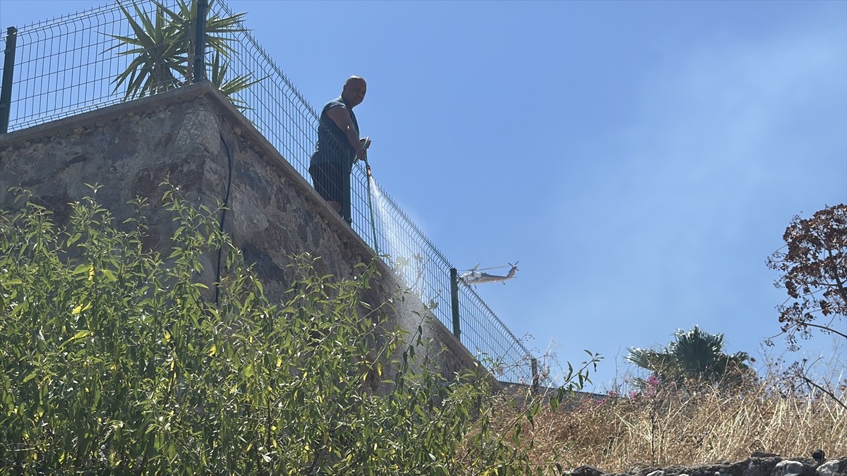 Muğla'nın Bodrum ilçesinde tarım arazisi ve otluk alanda çıkan yangın söndürüldü.