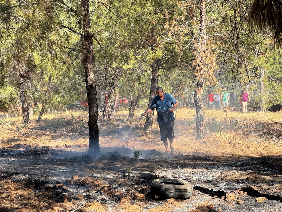 Muğla'nın Fethiye ilçesinde çıkan orman yangınına havadan ve karadan müdahale ediliyor.