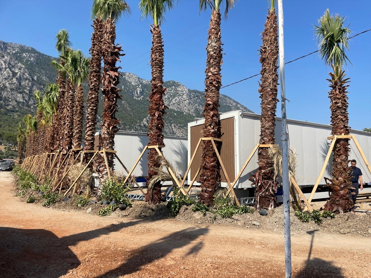 Muğla'nın Menteşe ilçesi sahilinde kaçak olduğu belirlenen 11 taşınabilir yapı...