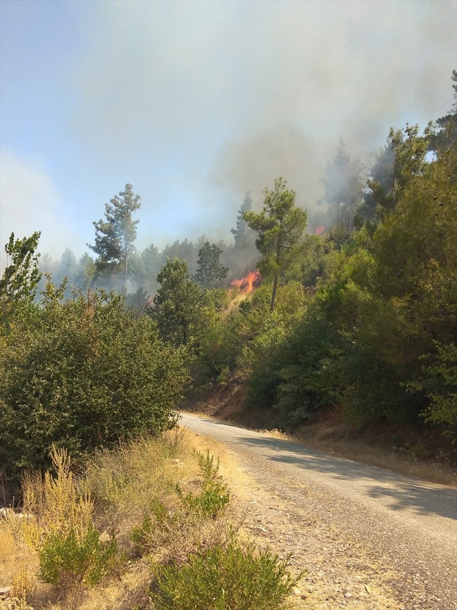 Muğla'nın Menteşe ilçesinde çıkan orman yangınına havadan ve karadan müdahale ediliyor.