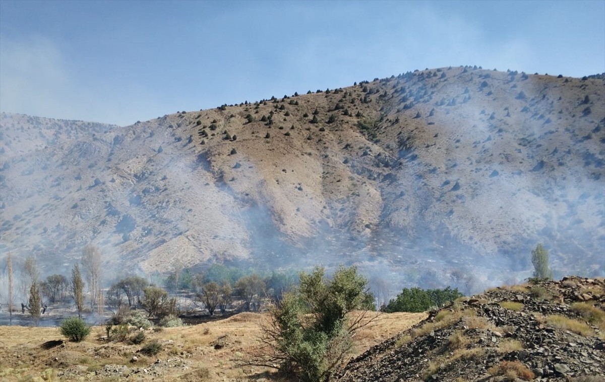 Niğde'nin Bor ilçesine bağlı Postallı köyünde ağaçlık alanda çıkan yangın, itfaiye ekiplerince...
